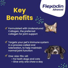 Flexadin Advanced with UC-II 30 count
