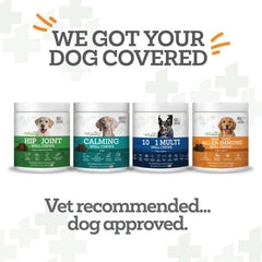 Vetality Aller-Immune Skin & Coat Well Chews for Dogs (in canister)