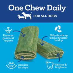 Vetality Brush Free Daily Dental Chews for Dogs`