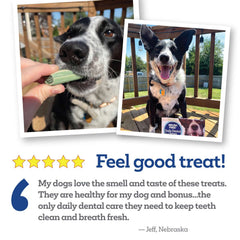 Vetality Brush Free Daily Dental Chews for Dogs`