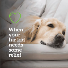 Vetality Canine Aspirin for Small-Med Dogs 10-50 lbs