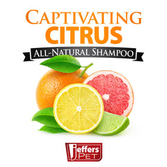 Jeffers Pet Captivating Citrus Dog & Cat Shampoo, 17 oz - Concentrated Deodorizing Pet Shampoo for Bathing & Coat Cleansing, Soap Free Formula with Aloe Vera, Coconut Oil & Eucalyptus, USA Made