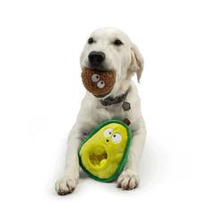 HUXLEY & KENT Dog Pop 'n Fetch Avocado L
