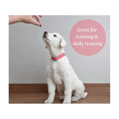 EXCLUSIVELY PET Training Treats Bacon Apple 7oz