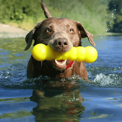 RUFF DAWG Dawg-Buster