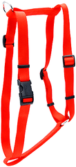 *COASTAL Adjustable Nylon Dog Harness L Red