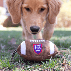 HUXLEY & KENT Dog Power Plush Football L