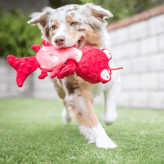 HUXLEY & KENT Dog Slappies Claude Lobster L