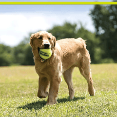 PETSPORT Tuff Balls Giant 4" 1pk