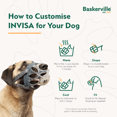 COMPANY OF ANIMALS Baskerville Invisa Muzzle Size 4 Clear