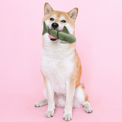 ETHICAL/SPOT Love The Earth Shark 7"