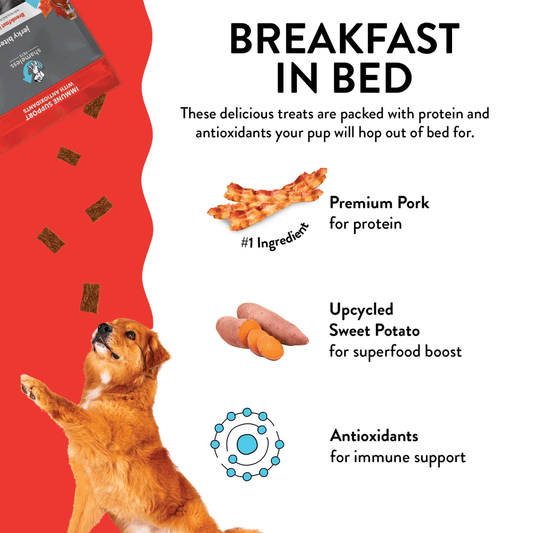 *SHAMELESS PETS Jerky Bites Breakfast In Bed 4.5oz