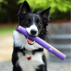 RUFF DAWG Stick Crunch
