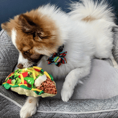 HUXLEY & KENT Dog Power Plush Taco Tuesday S
