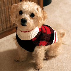 *FASHION PET Plaid Sweater S Red/Black