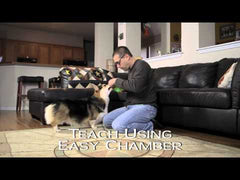 STARMARK Treat Dispensing Puzzle Ball