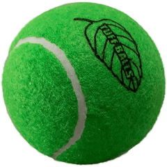 PETSPORT Tuff Balls Mint 2.5" 2pk