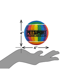 PETSPORT Rainbow Squeak Ball 4" 1pk