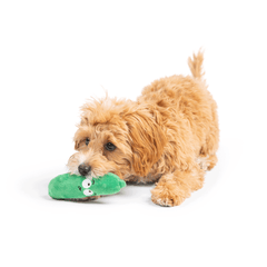 HUXLEY & KENT Dog Tiny Tuff Dell Pickle
