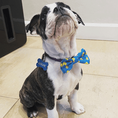 ربطة عنق HUXLEY & KENT Lucky Ducky S