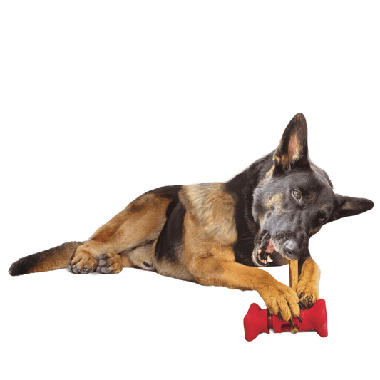 ETHICAL/SPOT Treat Holder 6.5"