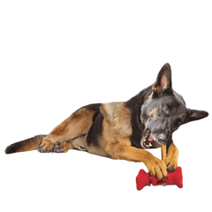 ETHICAL/SPOT Treat Holder 6.5"