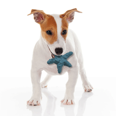 ETHICAL/SPOT Love The Earth Starfish 6"
