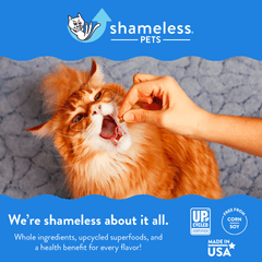 SHAMELESS PETS Crunchy Cat Treats Fintastic Catnip 2.5oz