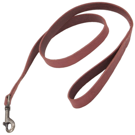 *COASTAL Rustic Leather Leash - 5/8 In x 4' - Brick Red