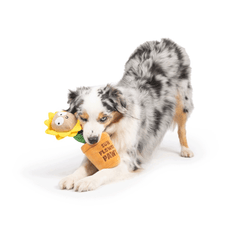 HUXLEY & KENT Dog Seek 'n Treat Sunflower Pawt L