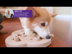 OUTWARD HOUND Dog Hide N' Slide Treat Puzzle Dog Toy Purple