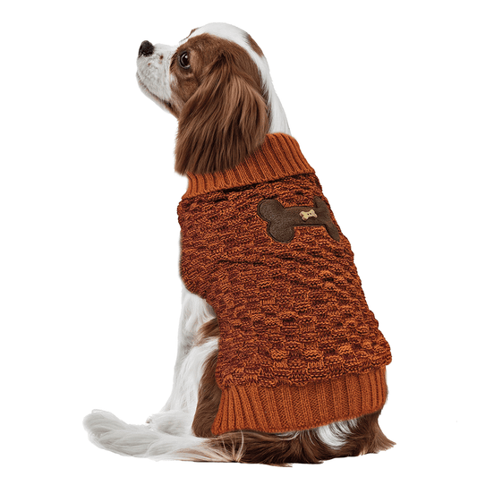 كنزة صوفية برتقالية مزينة بعظام الحيوانات الأليفة من علامة *FASHION PET، مقاس صغير