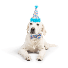 HUXLEY & KENT Party Hat Happy Got Me Day S