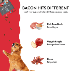 SHAMELESS PETS Bone Broth Chews Bacon Hits Different 8oz