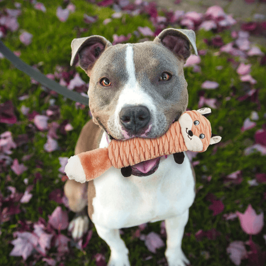 ETHICAL/SPOT Skinneeez Stretcheez Stretch & Squeak Dog Toy 13"