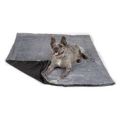 DGS Itchy Witchy Blanket Black M 30x40"