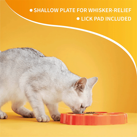*PetDreamHouse PAW Mini 2-in-1 Slow Feeder & Lick Pad Green