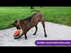 *KONG Jumbler Disc L/XL