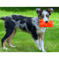 RUFF DAWG Gummy Bear