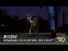 NITE IZE NiteDog Rechargeable LED Collar Cover Disc-O Select