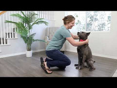 ربطة عنق HUXLEY & KENT Lucky Ducky S