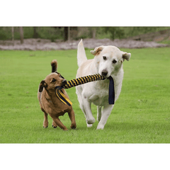 PETSPORT Twisted Chews Spring Tug 24"
