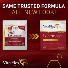 Lactanase 25gm pkt