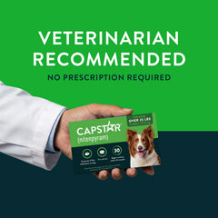 Capstar dog 25 lbs+ (6ct) Green