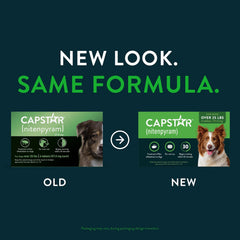 Capstar dog 25 lbs+ (6ct) Green