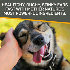 Silver Honey Rapid Ear Care Vet Strength Ear Treatment Rinse + Concentrated Doses