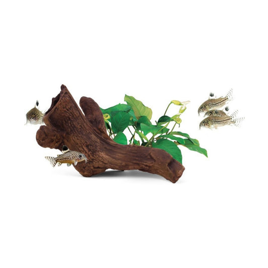 aquavitro Ceramic Hides Aquatic Ornament B2, 1ea/One Size