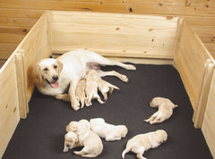 Drymate Whelping Mat 48" x 100"