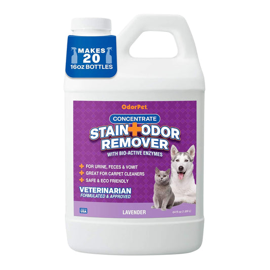 OdorPet - 1/2 gal  Lavender Scent