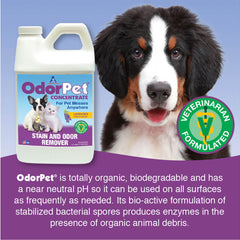 OdorPet - 1/2 gal  Lavender Scent